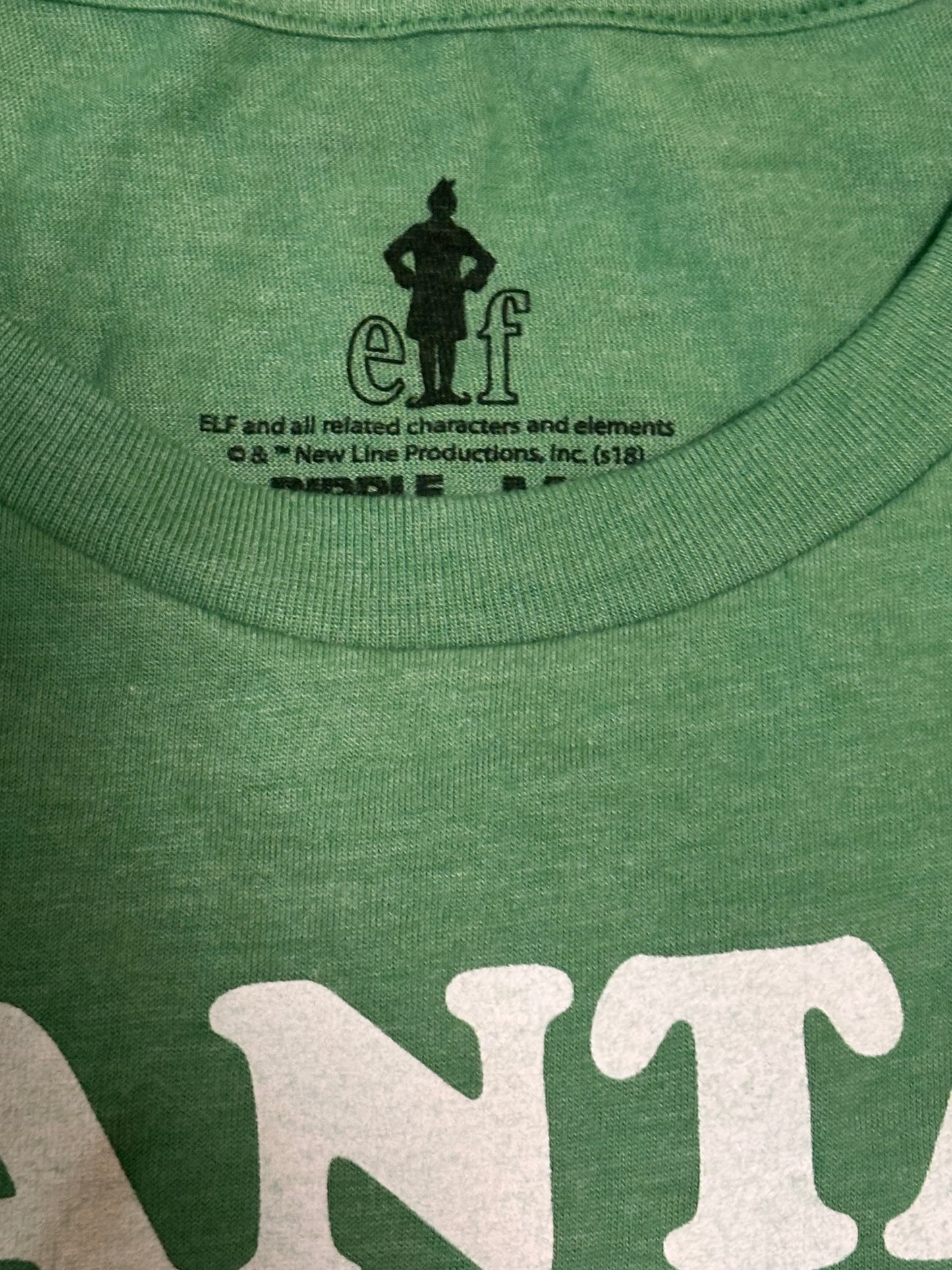 Elf Will Farrell Santa's Coming Ripple Junction T-Shirt Men's Green Short Sleeve Christmas