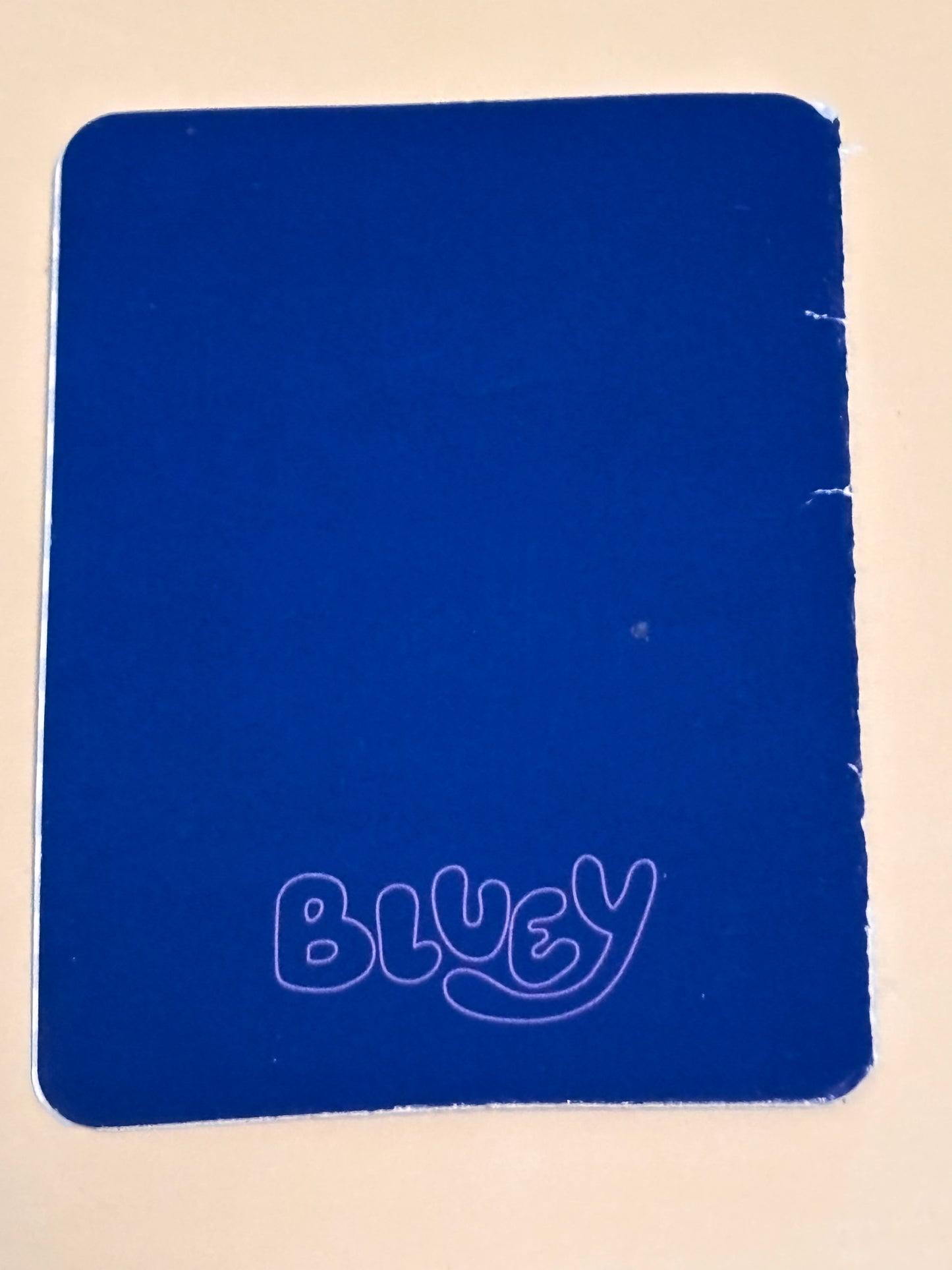 Bluey Passport for Airplane Plane for Figure Playset Replacement