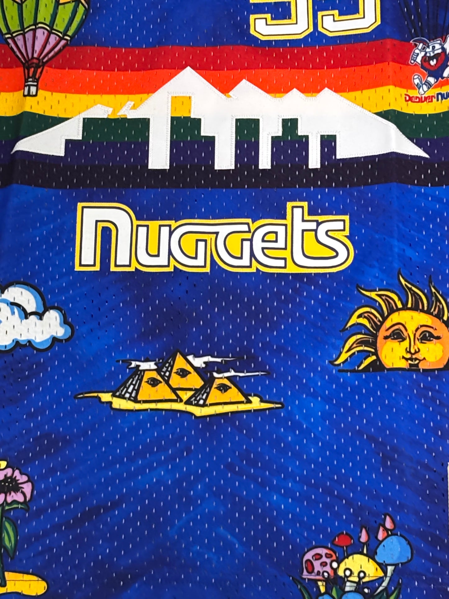 Denver Nuggets #55 Mitchell & Ness NBA Dikembe Mutombo HWC 1991-92 Hardwood Classic Swingman Blue Jersey Womens Medium M NWOT New
