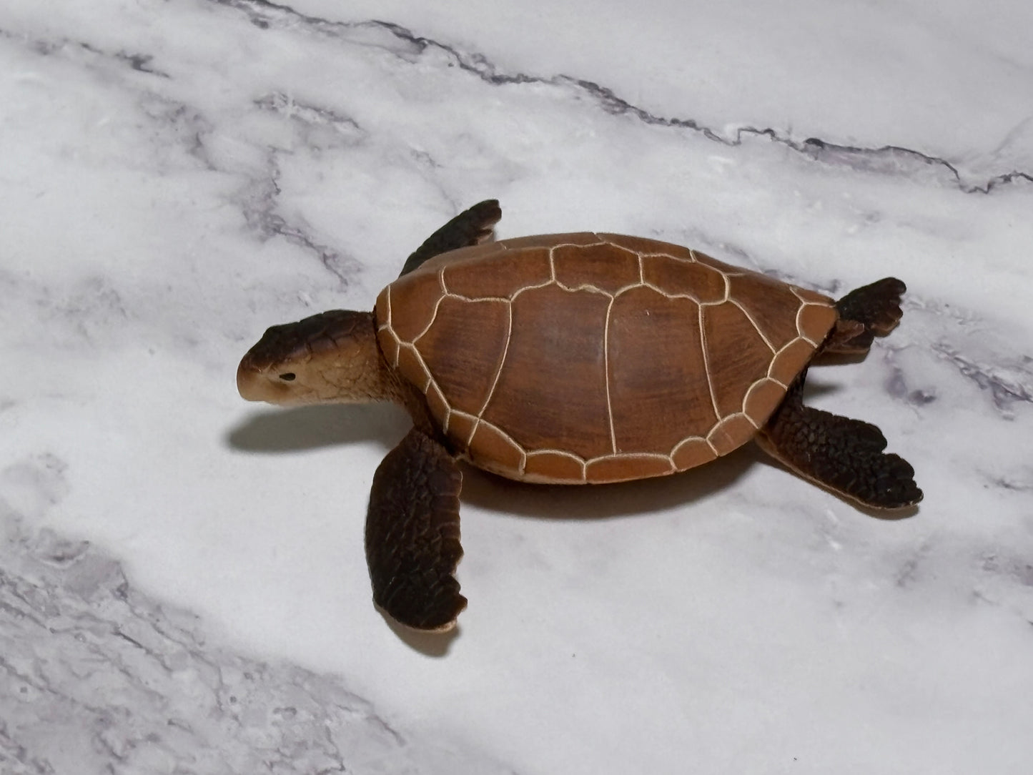 Safari Ltd Incredible Creatures Green Brown Sea Turtle Animal Figure Wildlife 2017