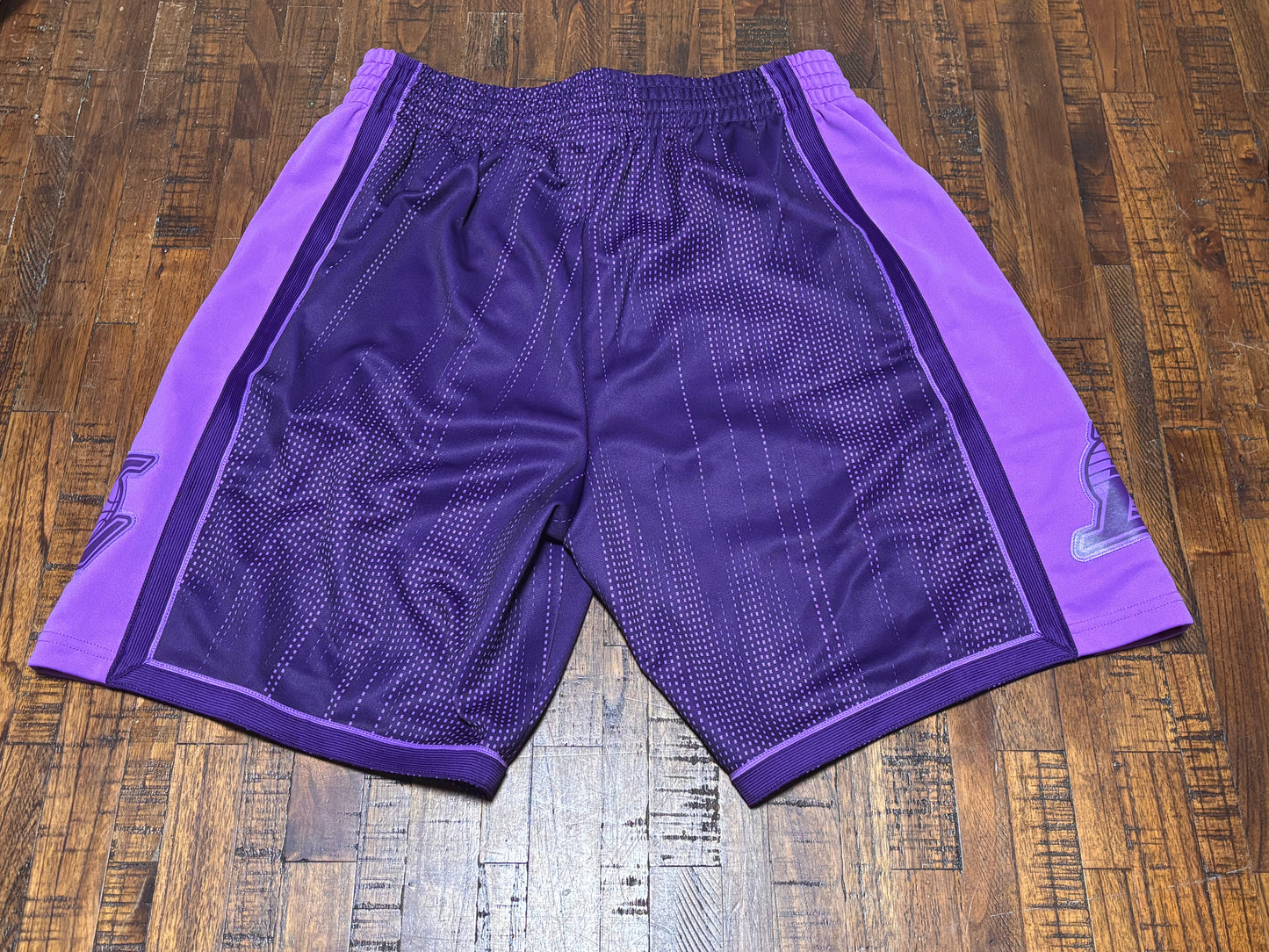 Los Angeles LA Lakers Mitchell & Ness NBA Retro HWC Hardwood Classic Swingman 1996-97 Shorts Monochrome Purple Men’s Large L New NWOT