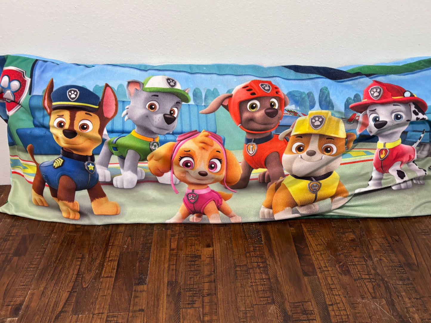 Lot of 2 Big Bluey Pillows