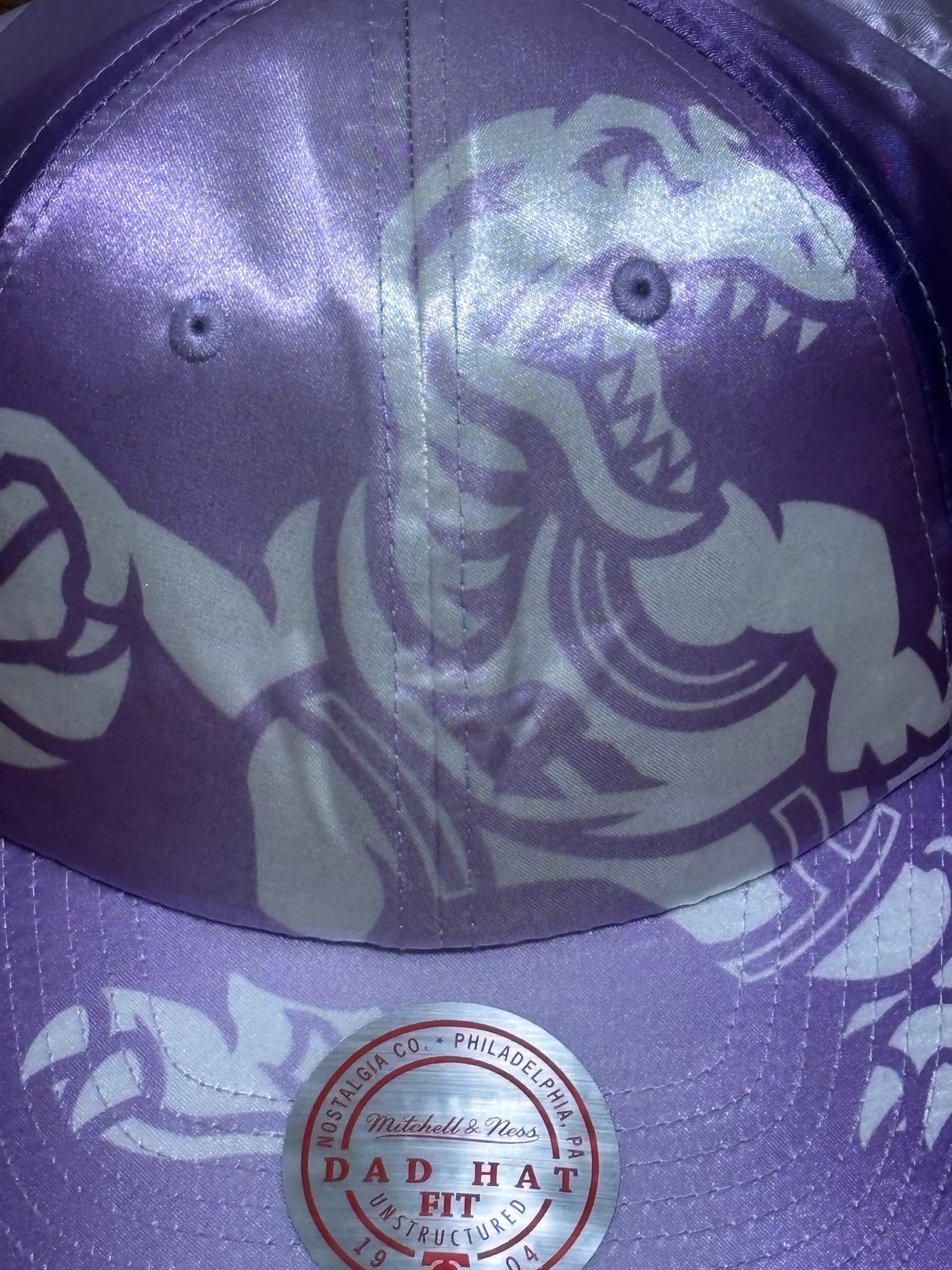 Toronto Raptors Mitchell & Ness NBA Basketball HWC Hardwood Classics Dinosaur Full On Dad Adjustable Strap Back Hat Cap Purple White New NWT