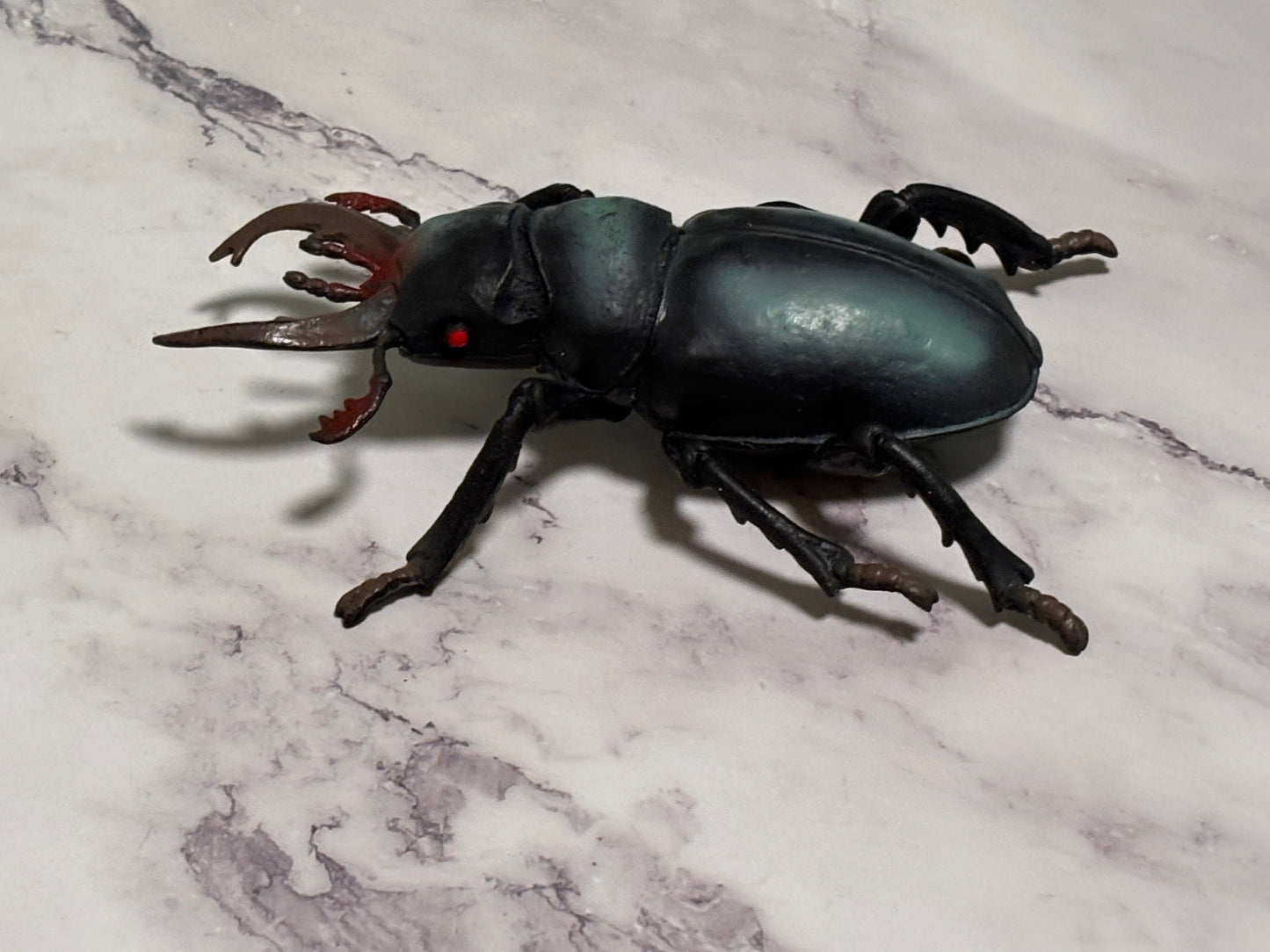 Stag Beetle, Realistic Model, Jumbo Size, Rubber Insect Bug Toy 6" DGI