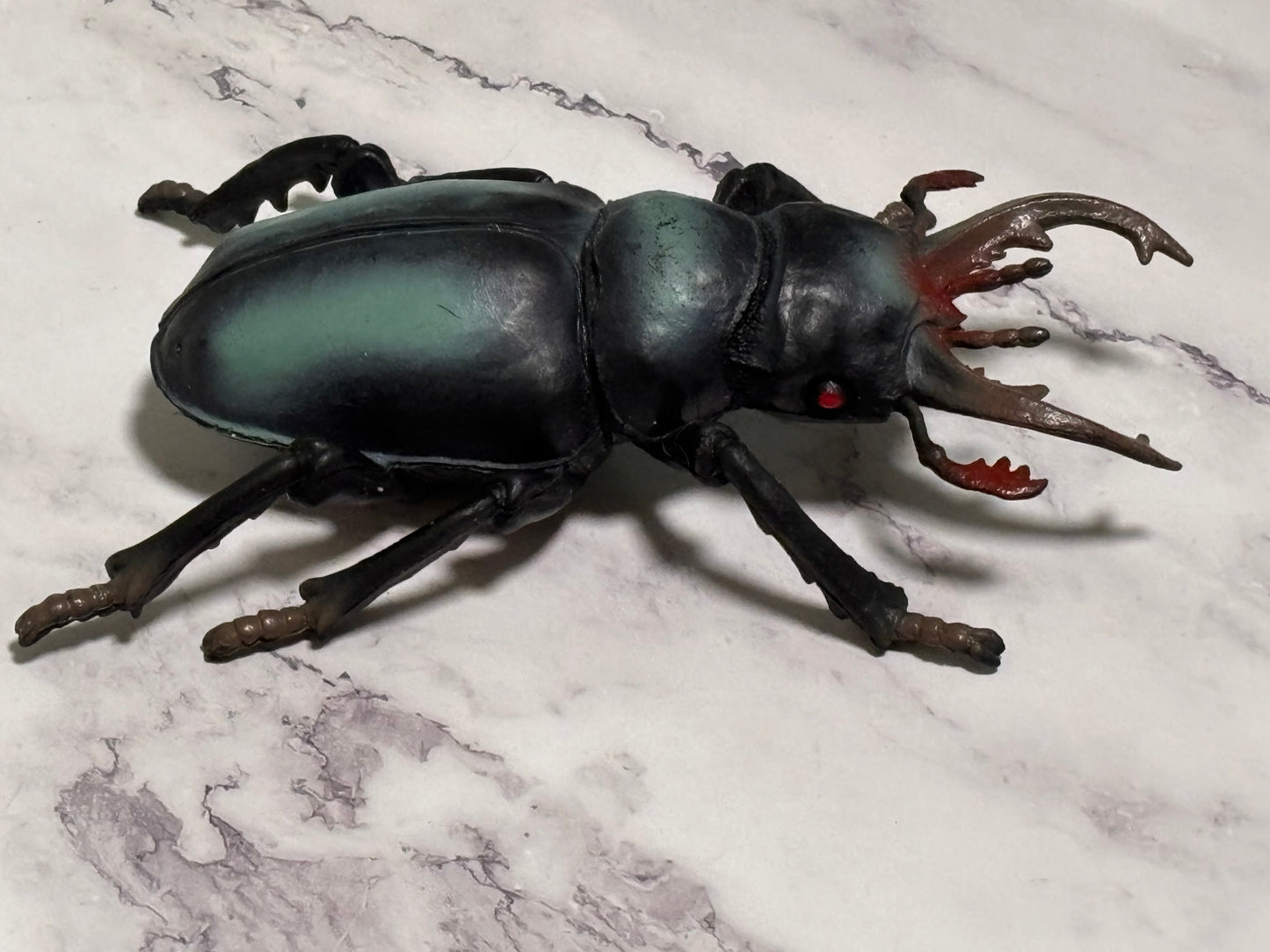 Stag Beetle, Realistic Model, Jumbo Size, Rubber Insect Bug Toy 6" DGI