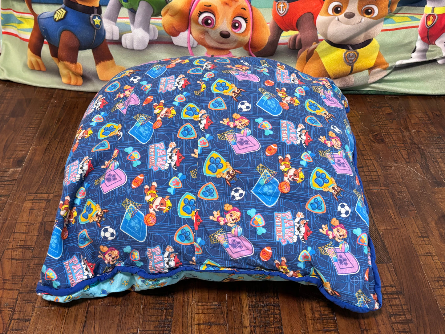 Lot of 2 Big Bluey Pillows