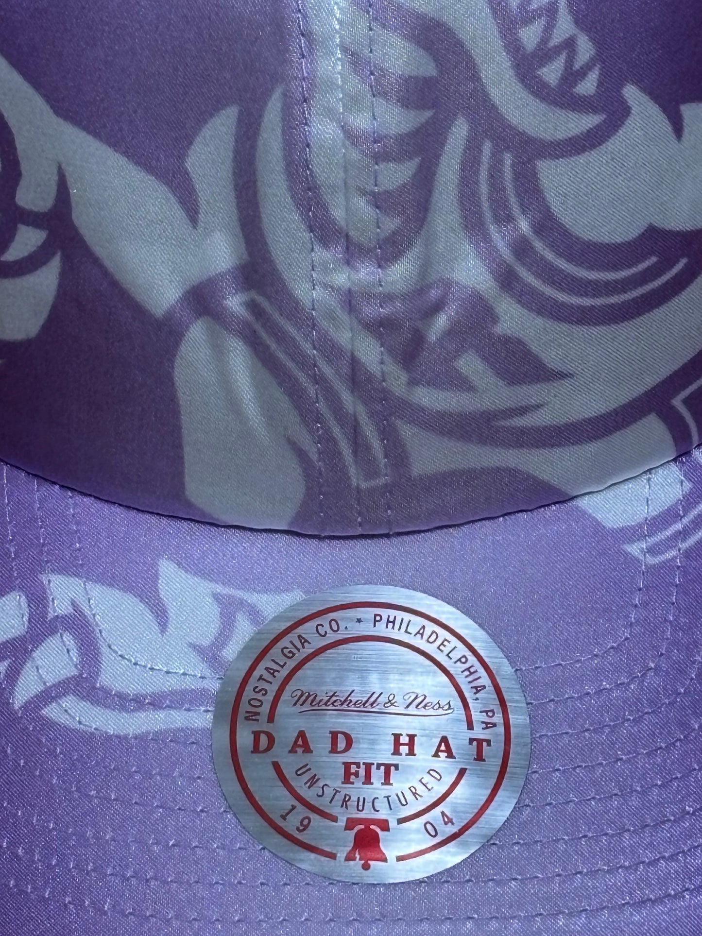 Toronto Raptors Mitchell & Ness NBA Basketball HWC Hardwood Classics Dinosaur Full On Dad Adjustable Strap Back Hat Cap Purple White New NWT