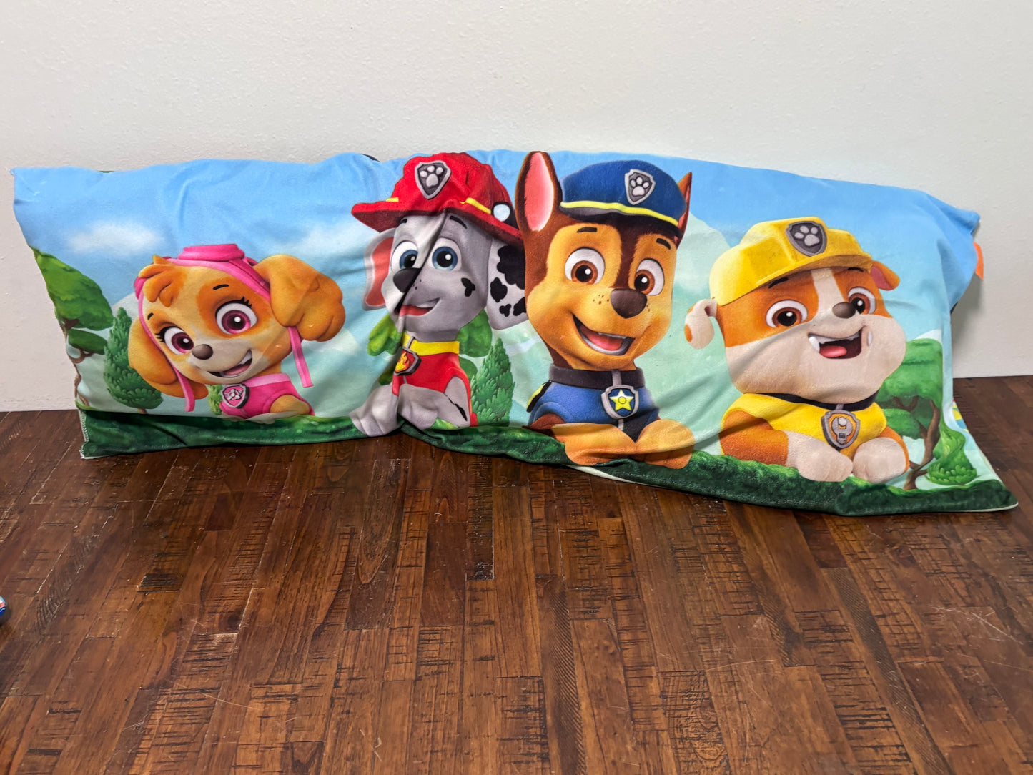 Lot of 2 Big Bluey Pillows